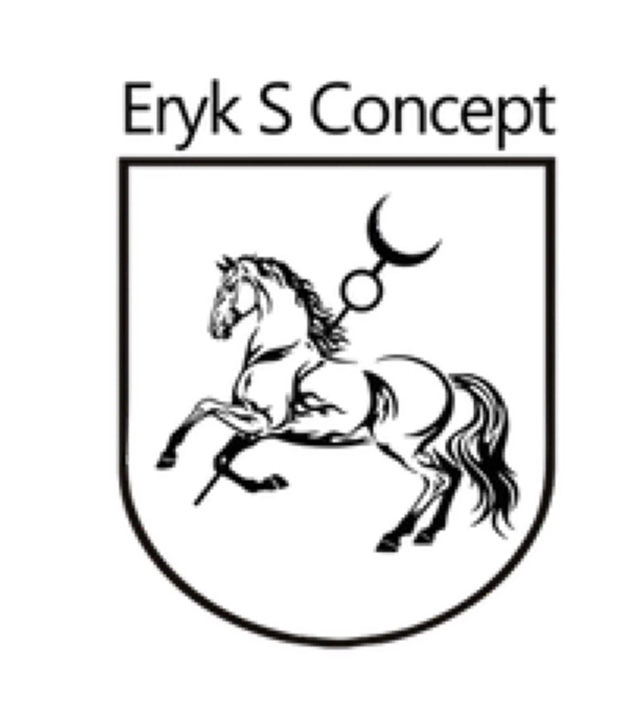 Eryk S Concept